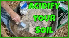 a person is scooping out some dirt into a bowl with the words acidy your soil