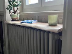 a book is sitting on top of a radiator next to a potted plant