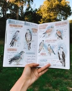 a hand holding an open book with birds on it in front of trees and grass