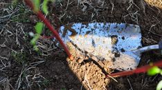 a shovel laying on the ground next to some dirt