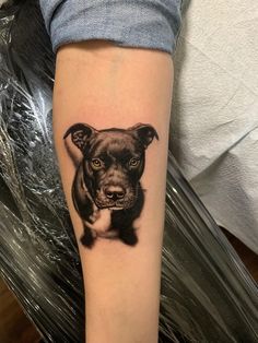 #BEAUTY, #RELATIONSHIPS #Fashion #Animals #Outfits #Winter Outfits #Animals Forearm Dog Tattoo Women, Black Dog Portrait Tattoo, Realism Dog Portrait Tattoo, Pitbull Portrait Tattoo, Small Dog Portrait Tattoo, Pitbull Tattoo For Men, Dog Forearm Tattoo, Pitbull Tattoo For Women, Dog Sleeve Tattoo