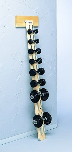 a rack with several dumbs on it in the shape of a ladder against a wall