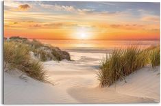 the sun is setting over the beach with grass in the foreground and sand dunes to the right