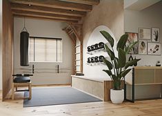 a living room with wood flooring and white walls has a potted plant in the corner