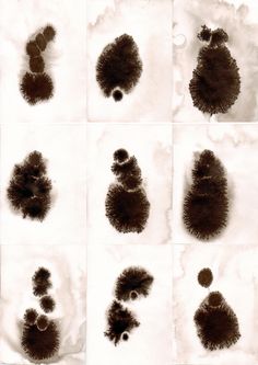 six different images of black and white furs in various stages of growth, from small to large