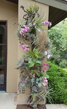 a tall planter filled with lots of flowers next to a building wall covered in succulents