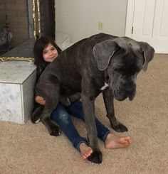 a woman sitting on the floor holding a large black dog next to a fire place