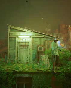 a man standing on top of a roof in front of a building with lots of green plants