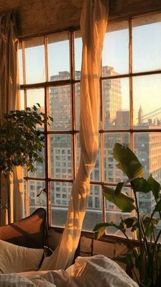 an unmade bed sitting in front of a window next to a potted plant