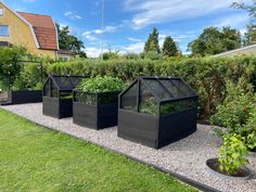 a row of black plastic greenhouses sitting on top of a grass covered field next to a house