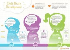 the different stages of child brain development