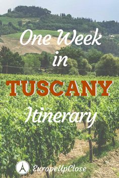 the words one week in tuscany winery on top of a photo of a vineyard