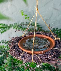 a bird's nest hanging from a tree filled with rocks