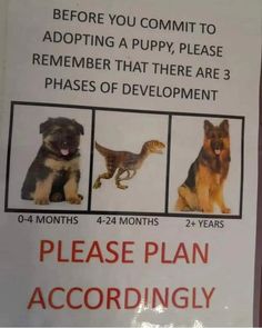 a sign with pictures of dogs and birds on it that says, before you commit to adoptting a puppy, please the 3 phases of development