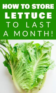 lettuce with the words how to store lettuce to last a month