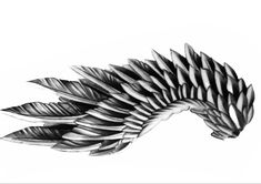 a black and white drawing of a feathered animal