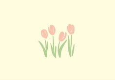 pink tulips on a cream background