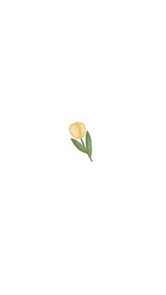 Yellow Tulips Aesthetic, Tulip Aesthetic, Phone Wallpaper Pastel, Aesthetic Widgets, Canvas Art Ideas, Insta Icon, Wallpaper Pastel, Yellow Tulips