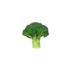 a piece of broccoli on a white background is shown in the foreground