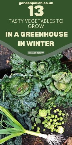 green vegetables with text overlay that reads 13 tasty vegetables to grow in a greenhouse in winter