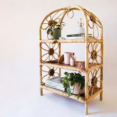 a wicker shelf with plants and books on it, in front of a white wall