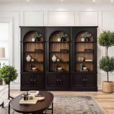 a living room filled with furniture and lots of plants on top of it's shelves