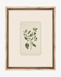 a framed painting with green leaves on it