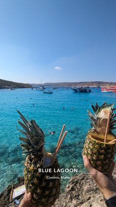 two pineapples sitting on top of each other in front of the ocean and boats