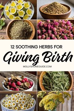 some flowers and herbs in bowls with the words, 12 soothing herbs for giving birth