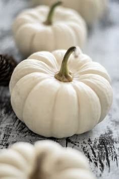 small white pumpkins lined up on a table