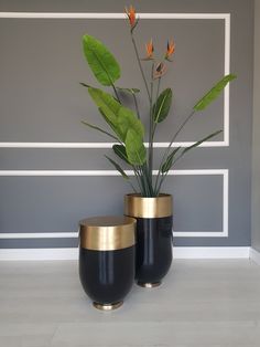 two black and gold vases with plants in them against a gray wall, next to a plant