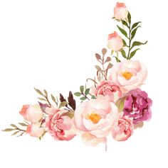 watercolor painting of pink flowers on white background