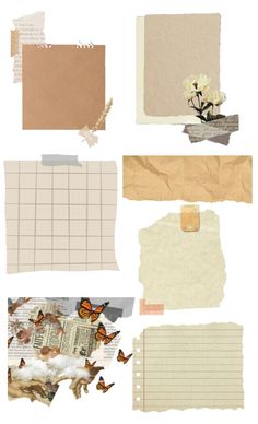 several pieces of torn paper with butterflies and flowers on them, all in different colors