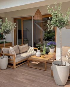 an outdoor living area with potted plants and couches