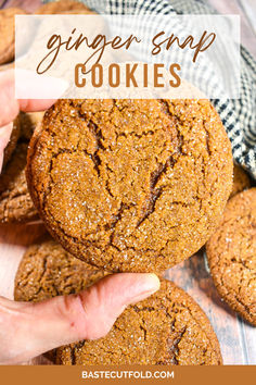 An easy-to-make ginger snap recipe. These homemade ginger biscuits (a.k.a. ginger snap cookies, ginger nuts, or gingersnaps!) are the best ginger cookies for pie crusts and cookie platters. They’re also ideal for dunking in a cup of tea, coffee, hot chocolate, or mulled wine. Ginger Snap Recipe, Best Ginger Cookies, Ginger Biscuits Recipe, Ginger Nut Biscuits, Ginger Snap Cookies Recipe, Ginger Snaps Recipe, Cookie Platters, Ginger Cookie Recipes, Ginger Biscuits