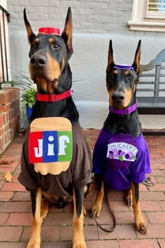 two dogs dressed up in clothes sitting next to each other on a brick floor outside