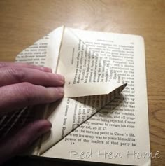 a person is holding an origami book with the pages torn off and folded in half