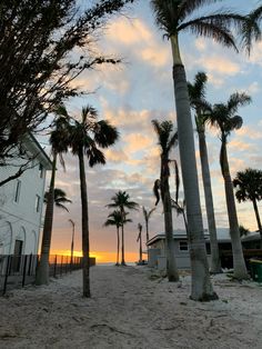 palm trees line the beach in front of a white house at sunset with clouds overhead