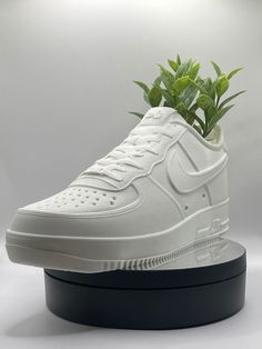 a white sneaker with a plant growing out of it's top on a black platform