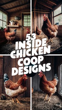 three pictures of chickens in a coop with the words inside chicken coop designs