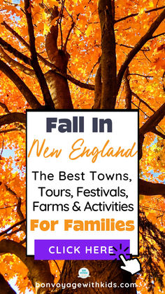 A scenic view of a  vibrant Fall Foliage tree, perfect for Leaf Peeping during a New England Road Trip Fall adventure. New England In The Fall, England In The Fall, Fall In New England, Fall Destinations, Fall Foilage, Fall Foliage Road Trips