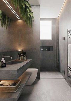 a modern bathroom with two sinks and a plant hanging over the sink area in front of it