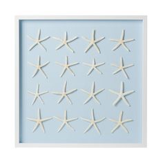 starfishs are arranged in a white frame on a light blue background, and the image is cut out from foam