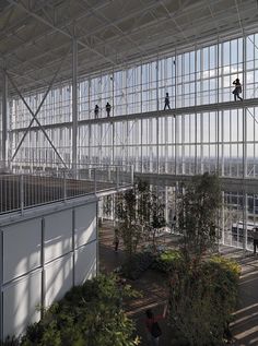 people are walking on the roof of a large building with glass walls and trees in the foreground