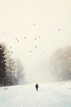 a person is walking in the snow with birds flying over their head and trees behind them