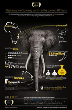 an elephant's head is shown with information about its location in the world and how it