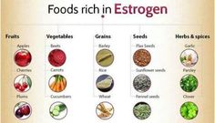 Foods High In Estrogen, Estrogen Foods, Balanced Hormones, Different Foods, Garlic Seeds