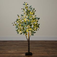 a small tree with lights in it on top of a wooden floor next to a wall