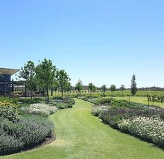 a green field with lots of flowers and trees