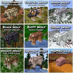 the different types of animals in minecraft